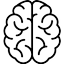brain icon